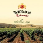 Най-добрият Мускат Отонел на Балканите зрее в Kарнобатския край