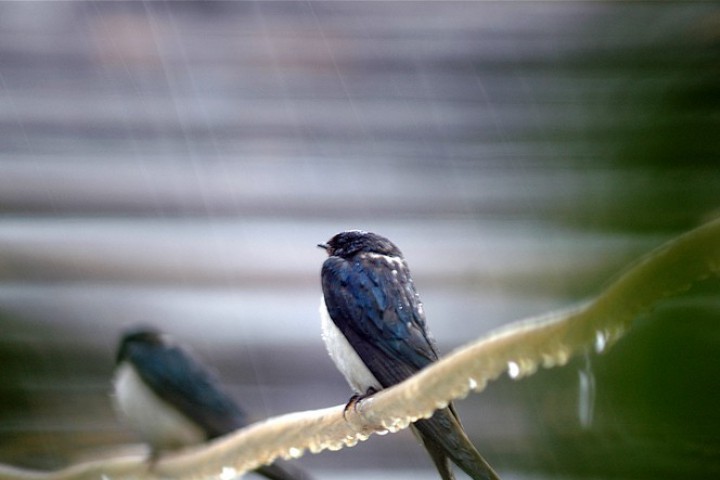Днес облачността ще бъде незначителна до слънчево време Дневните температури